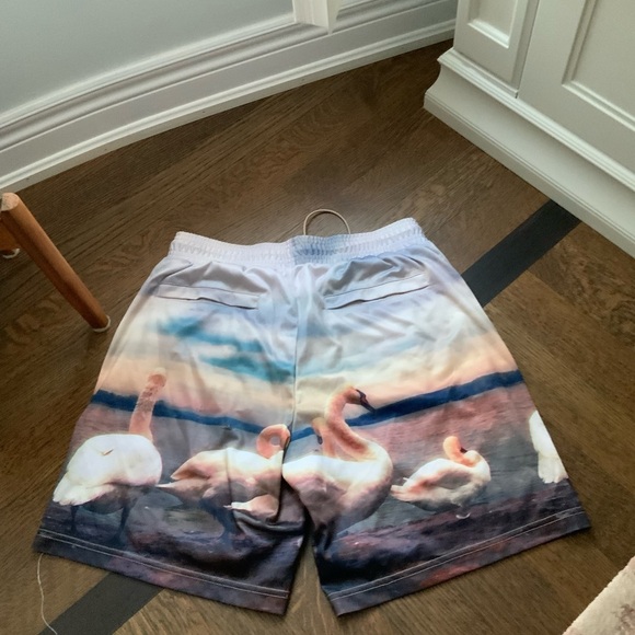 WELL KNOWN STUDIOS The Swan Family Shorts 7”  Men’s Size Large Street Wear NEW - Picture 10 of 13